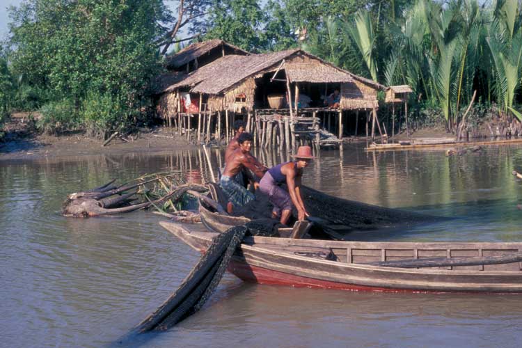 マングローブの茂る川での漁（ミャンマー）